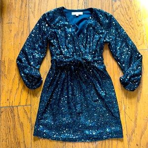 Unbelievably lovely, never worn, 0P Loft, sequin dress; lined- built in lining